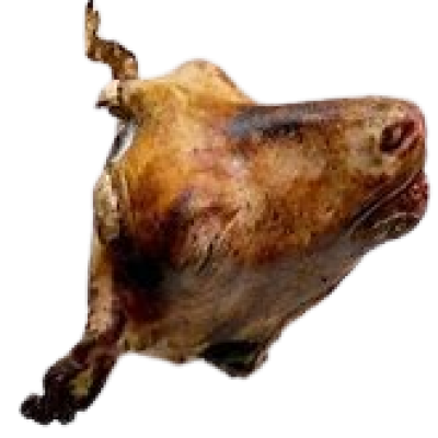Mutton head 0